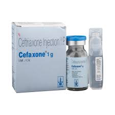 Cefax Inj 1g 1Vial