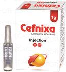 Cefnixa Inj 1gm 1's