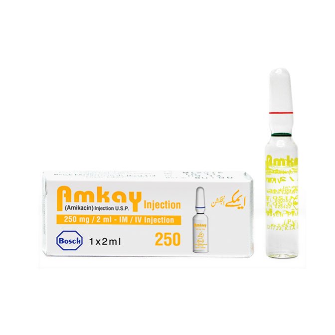 Amkay 250 Inj 250Mg