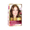 L'Oreal Paris Excellance Hair Colour 5.03 Cream 1's