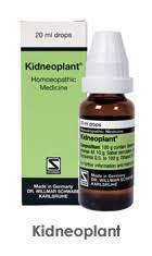 Kidneoplant Drops 20ml