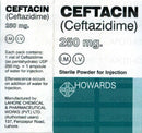 Ceftacin IM/IV Inj 250mg 1Vial