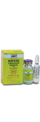 Kefzol IM/IV Inj 500mg 1Vial