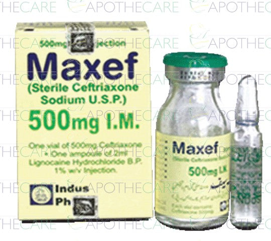 Maxef IM Inj 500mg 1Vial – Ailaaj