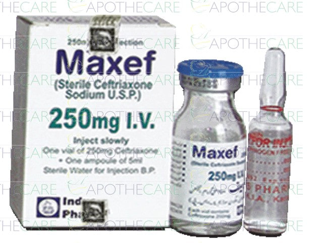 Maxef IV Inj 250mg 1Vial – Ailaaj