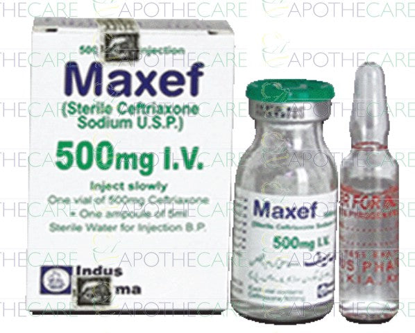 Maxef IV Inj 500mg 1Vial