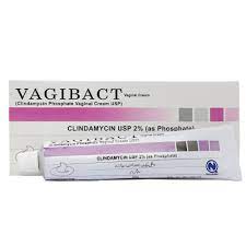 Vagibact Cream 2% 40g