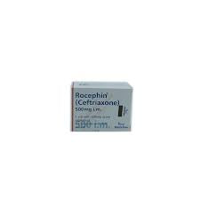 Rocephin IM Inj 500mg 1Vial